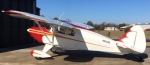 Piper Pacer
